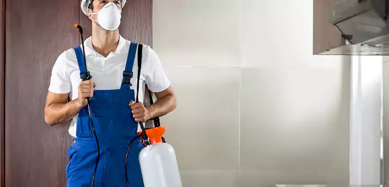 Why Toledo Homeowners Choose Us When Pests Make Selling Difficult