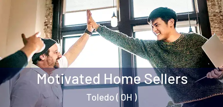  Motivated Home Sellers Toledo ( OH )