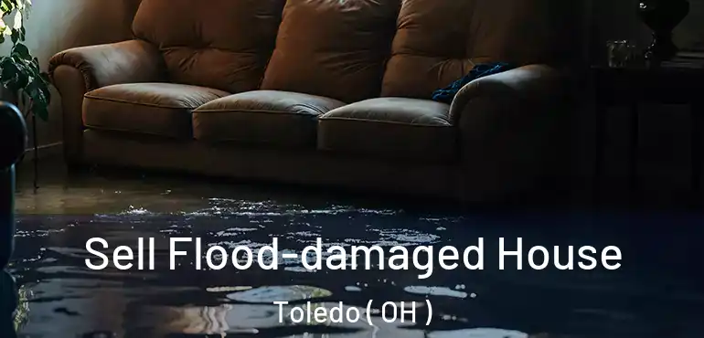  Sell Flood-damaged House Toledo ( OH )