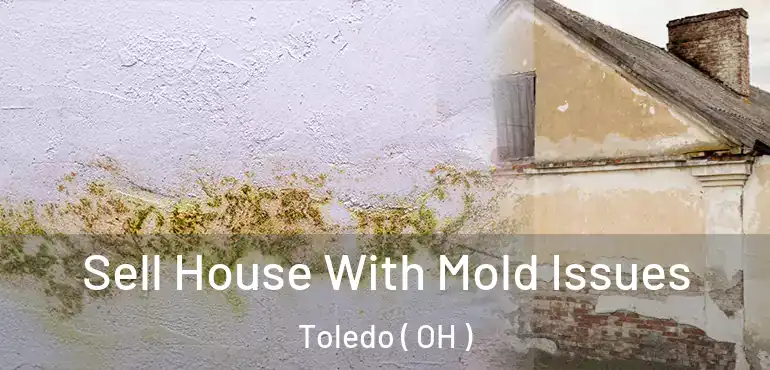  Sell House With Mold Issues Toledo ( OH )